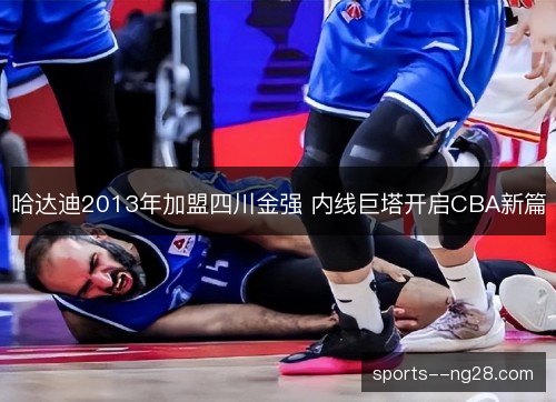 哈达迪2013年加盟四川金强 内线巨塔开启CBA新篇 哈达迪2013年加盟四川金强 内线巨塔开启CBA新篇